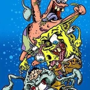 Meet your Posher, Hayden